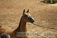 usn07_j08523 proof