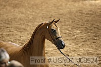 usn07_j08524 proof
