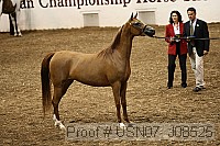 usn07_j08525 proof