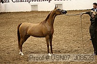 usn07_j08528 proof