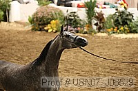 usn07_j08529 proof