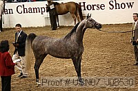 usn07_j08530 proof