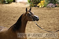 usn07_j08532 proof