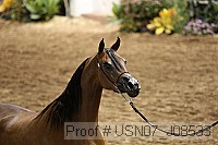 usn07_j08533 proof