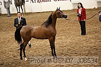 usn07_j08534 proof