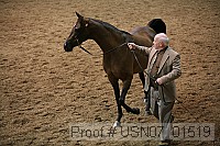 usn07_01519 proof