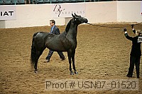 usn07_01520 proof
