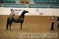 usn07_01521 proof