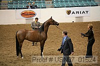 usn07_01524 proof