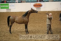 usn07_01525 proof