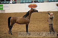 usn07_01526 proof