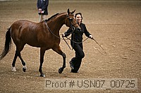 usn07_00725 proof
