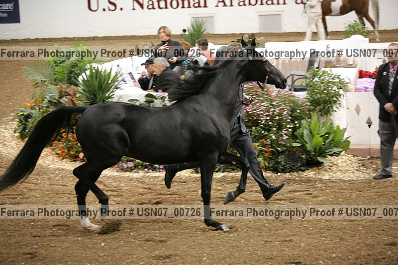 Proof usn07_00726