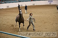 usn07_00729 proof