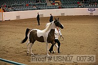 usn07_00730 proof