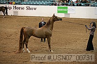usn07_00731 proof