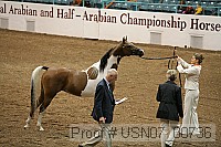 usn07_00736 proof