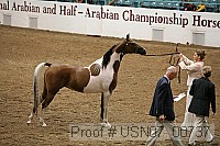 usn07_00737 proof