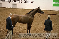 usn07_00738 proof