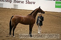 usn07_00739 proof