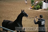 usn07_00740 proof