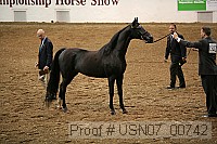 usn07_00742 proof