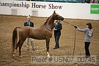 usn07_00745 proof