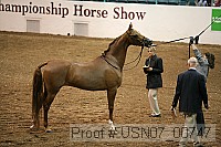 usn07_00747 proof