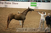 usn07_00749 proof