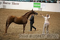 usn07_00750 proof