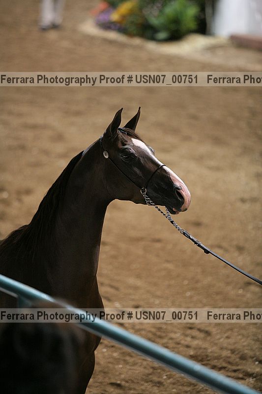 Proof usn07_00751