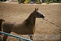 usn07_00753 proof