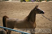 usn07_00755 proof