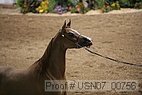 usn07_00756 proof