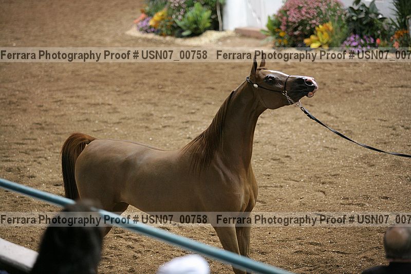 Proof usn07_00758