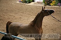 usn07_00759 proof