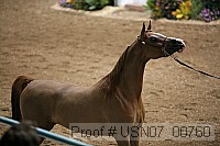 usn07_00760 proof