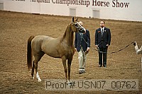 usn07_00762 proof