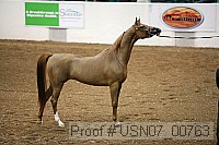 usn07_00763 proof
