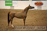 usn07_00764 proof