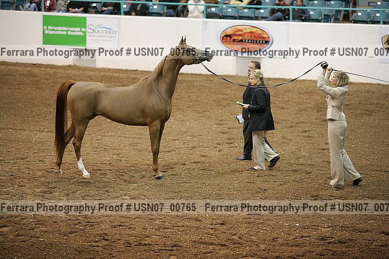 Proof usn07_00765