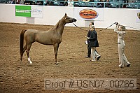 usn07_00765 proof