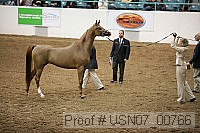 usn07_00766 proof