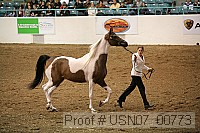 usn07_00773 proof