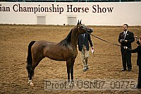 usn07_00775 proof
