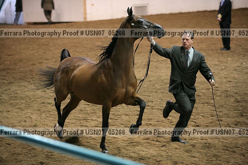 Proof usn07_05266