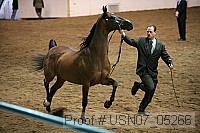 usn07_05266 proof