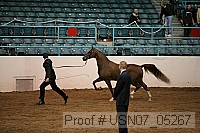 usn07_05267 proof