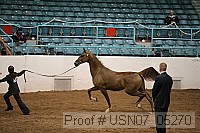 usn07_05270 proof