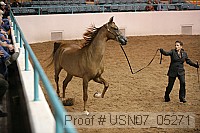 usn07_05271 proof